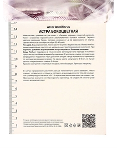 Астра бокоцветковая «Леди ин Блэк», корневище в торфогрунте, р-р I, 1 шт. Поиск