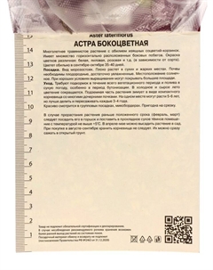 Астра бокоцветковая «Принц», корневище в торфогрунте, р-р I, 1 шт. Поиск