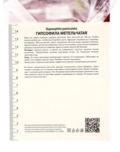 Гипсофила метельчатая «Бристол Фэйри», корневище в пакете с торфогрунтом, р-р I, 1 шт. Поиск