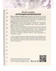 Астранция карниольская «Рубра», корневище в торфогрунте, р-р 1, 1 шт. Поиск