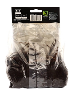 Корневище Ирис японский Шугар Доум, р-р I, 1 шт. Поиск