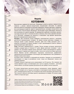 Котовник Фассена Кэтс Мяу, р-р I, 1 шт, Весна 2025 Поиск