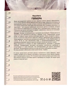 Гейхера (Хеухера) гибридная Кримсон Кёрлс, корневище в пакете с торфогрунтом, р-р I, 1 шт. Поиск