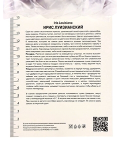 Ирис луизианский «Колорифик», р-р I, 1 шт., Осень 2025 Поиск