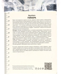 Гейхера (Хеухера) гибридная Берри Смути, корневище в пакете с торфогрунтом, р-р I, 1 шт. Поиск