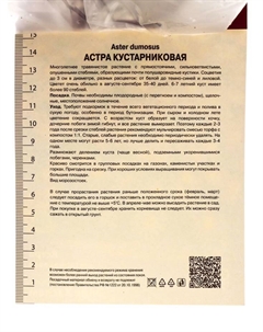Астра кустарниковая «Элис Хэслем», корневище в торфогрунте, р-р I, 1 шт. Поиск