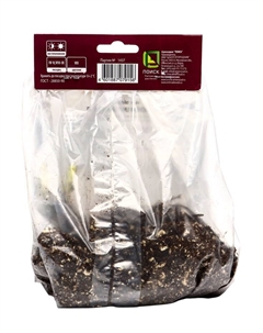 Гравилат чилийский Леди Штратэдэн, саженец декоративный, цветущий, р-р I, 1 шт. Поиск