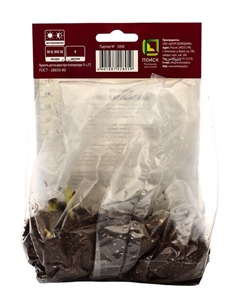 Корневище Ирис карликовый Демон, р-р I, 1 шт. Поиск