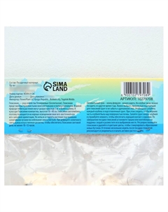 Глоксиния «Принц Альберт», многолетник, комнатный, луковица в пакете с перфорацией, р-р 5/6, 2 шт. Сады дедушки никиты