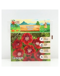 Глоксиния «Корина», многолетник, комнатный, луковица в пакете с перфорацией, р-р 5/6, 2 шт. Сады дедушки никиты