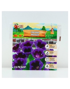 Глоксиния «Виолацея», многолетник, комнатный, луковица в пакете с перфорацией, р-р 5/6, 2 шт. Сады дедушки никиты