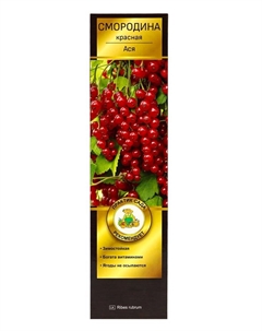 Смородина красная «Ася», перспективные сорта, саженец, туба,1 шт. Поиск