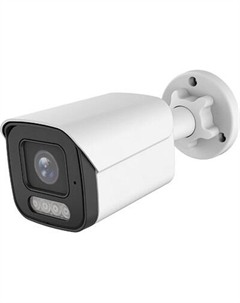 IP-камера Arsenal AR-I320S