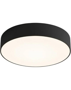 Потолочный светильник Truenergy 11163