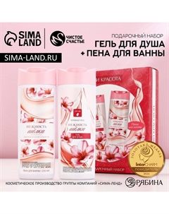 Подарочный набор косметики «Нежность и красота», гель для душа и пена для ванны, 2×250 мл Чистое счастье