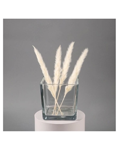 Ваза «Квадратная», 1.7 л, 14×14 см, стекло, прозрачная Evis