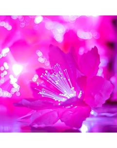 Декоративная подсветка «Малопа» 20хLED 4000К 5 м розовый 500×14×14 см Risalux