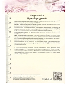 Ирис бородатый «Голден Эппл», р-р 1, 1 шт., корневище в торфогрунте Поиск