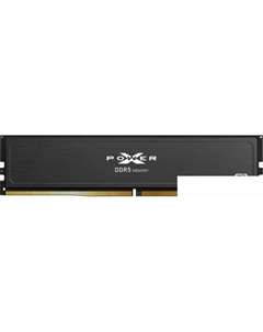 XPower Pulse 32ГБ DDR5 5600 МГц SP032GXLWU560FSJ Silicon power