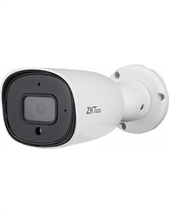 IP-камера BL-854N38S-S7 Zkteco