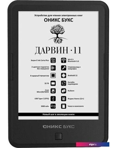 Электронная книга BOOX Darwin 11 Onyx