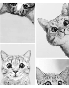 Картина по номерам ILikeGift Мемчики. Наташ, вставай! / HR0674 Ilikegift