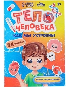 Развивающий игровой набор Лесная мастерская Тело человека / 10326645