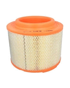 Воздушный фильтр Filtron AR307/2