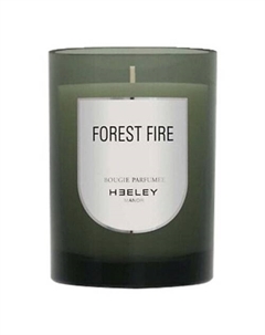 Парфюмерная свеча Forest Fire 290 Heeley