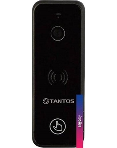 Вызывная панель iPanel 2 (черный) Tantos