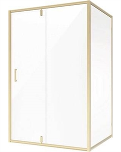 Душевой уголок NG-43-10AG-A110G 100x110x195 Niagara