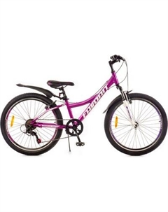 Велосипед Discovery-24VA / DIS24V11MG-AL Favorit