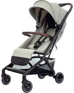 Детская прогулочная коляска Kidzi Kimi WG / KDZT505BG