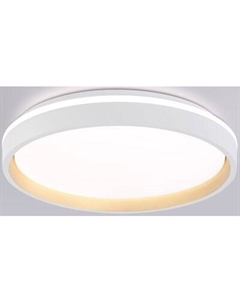 Потолочный светильник Ambrella Orbital FZ607 WH/GD