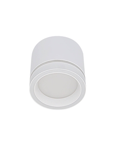 Светильник точ. накладной Modern 15Вт GX53 белый 21042 Truenergy