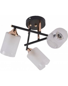 Люстра средней высоты Fiona 3163-303 Rivoli