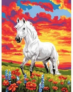 Картина по номерам Дух свободы / КК3040_57390 Три совы