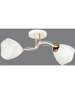 Потолочный светильник Mirastyle WX-6104/2 WH+FGD