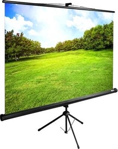 Проекционный экран Cactus TriExpert CS-PSTE-200х150-BK