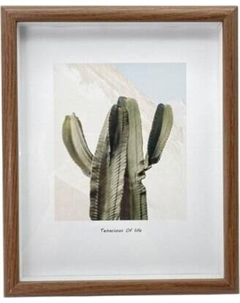 Рамка Indoor plants / FH1508-03 Ilikegift