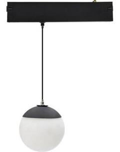 Трековый светильник Aployt APL.0211.00.05