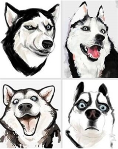 Картина по номерам Молли Мемчики. Хаски-шутник 40x50 / HR0675 Molli
