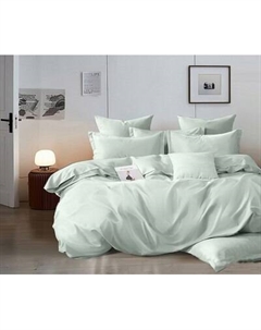 Комплект постельного белья Реноме 2сп Оливковая коллекция Нежная мята 12-6205