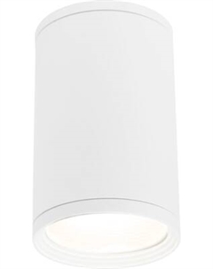 Светильник уличный Elektrostandard Light 35128/H