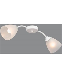 Потолочный светильник Vitaluce V3750/2PL