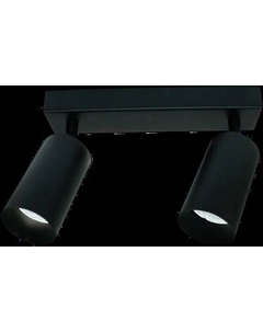 Спот General Lighting GWL-2GU10-M-IP20 / 661819 General lighting