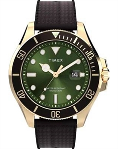 Часы наручные мужские Timex TW2Y05300