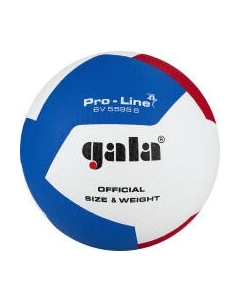 Мяч волейбольный Gala Sport Pro-Line 12 / BV5595SA Gala sport