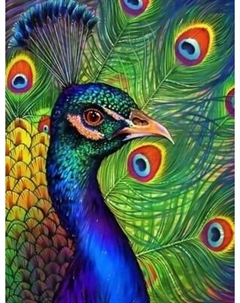 Картина по номерам Павлин / HCEG35983 Ilikegift