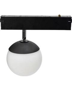 Трековый светильник Aployt APL.0212.00.05